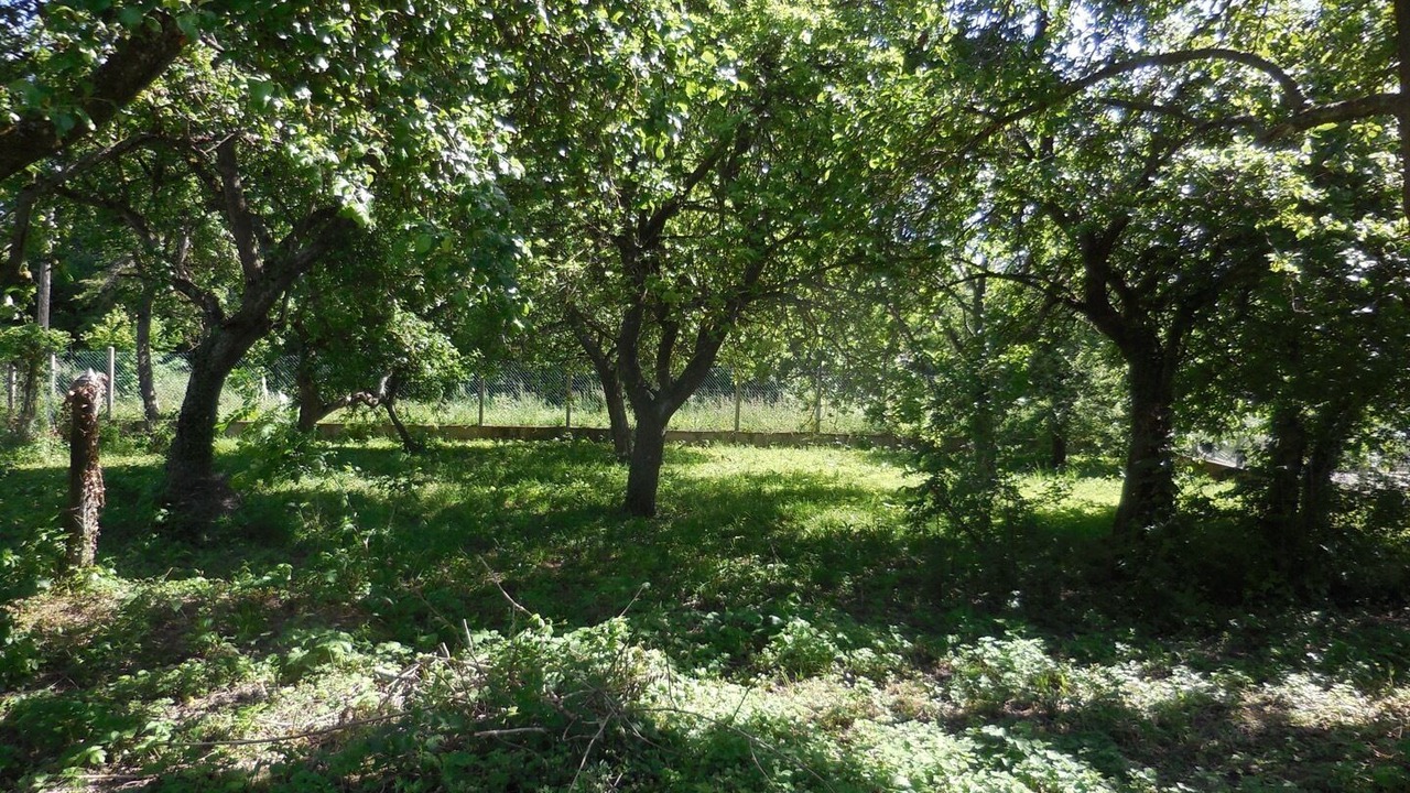 Photo of Outdoor in Cahon