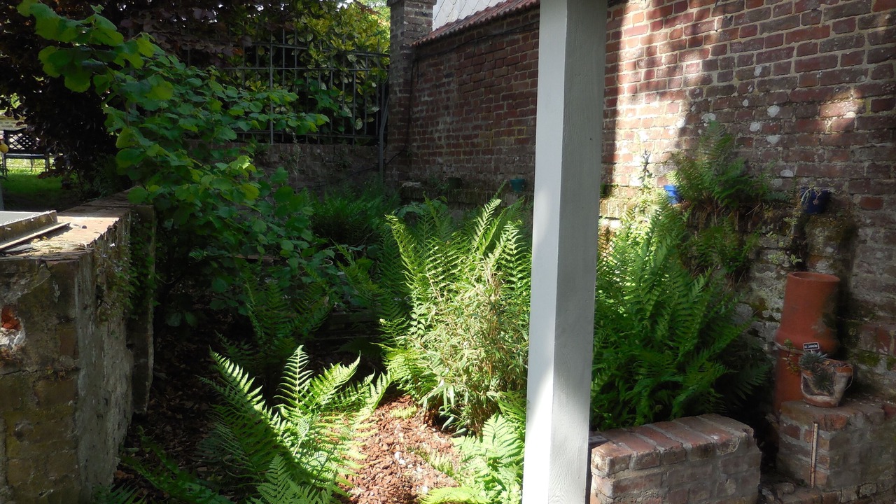 Photo of Outdoor in Cahon