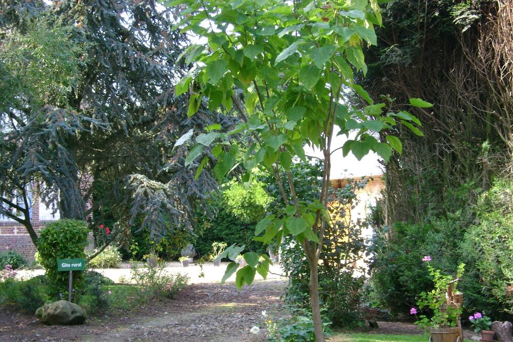 Photo of Outdoor in Boissay