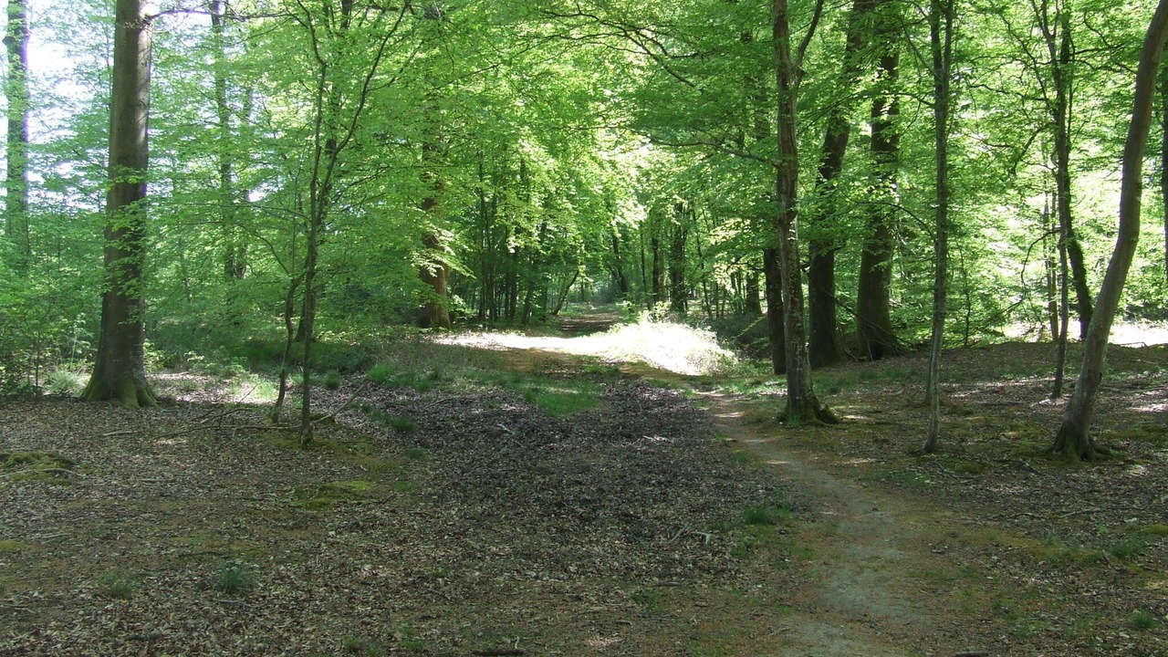 Photo of Outdoor in Crecy-en-Ponthieu