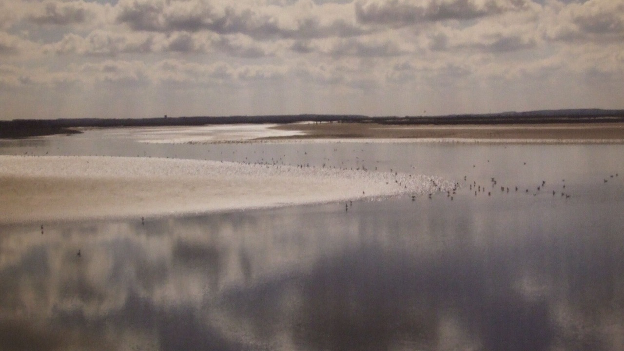 Photo of Others in Crecy-en-Ponthieu