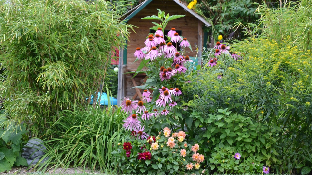 Photo of Outdoor in Lavannes