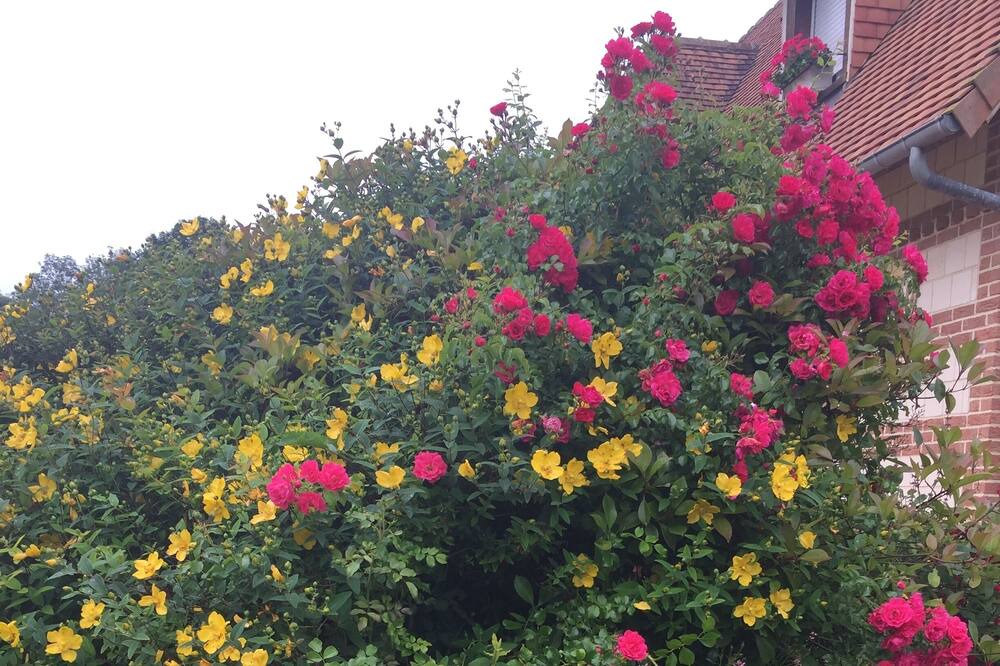 Photo of Outdoor in Londinieres