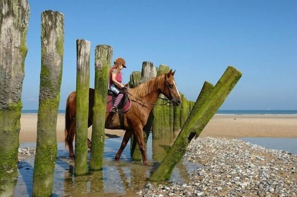 Photo of Others in Bleriot-Plage