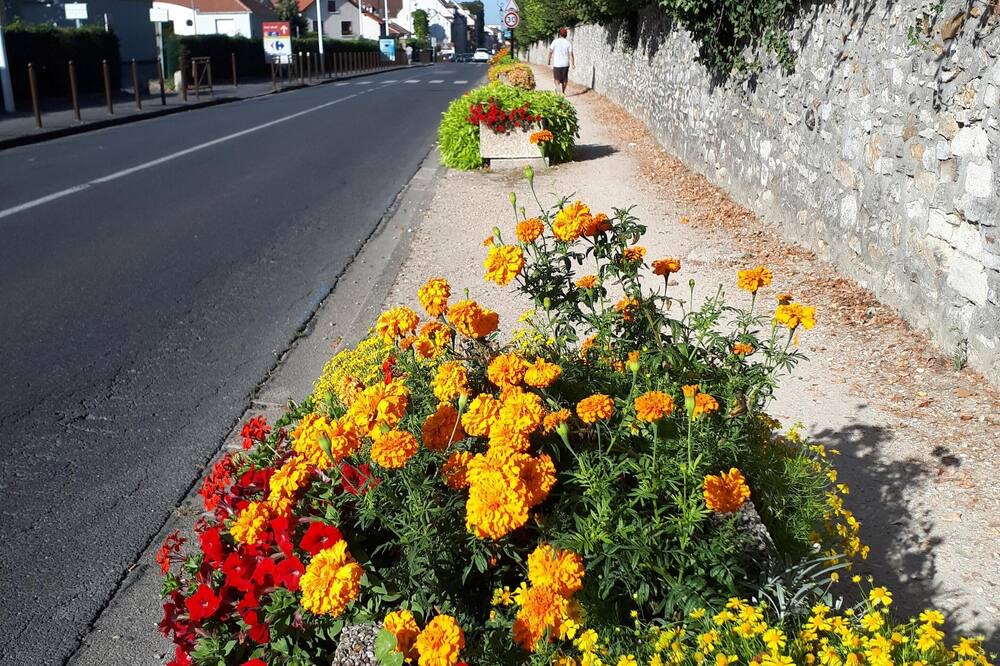 Photo of Outdoor in Champs-sur-Marne