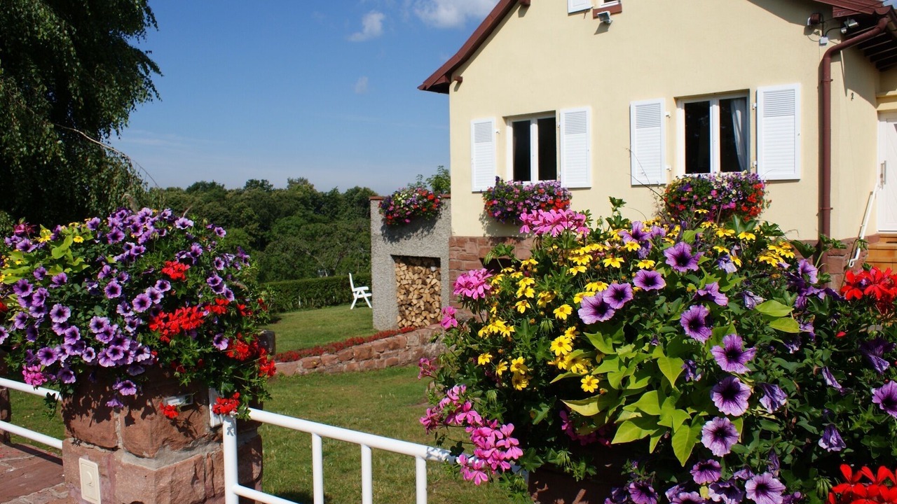 Photo of Outdoor in Lichtenberg