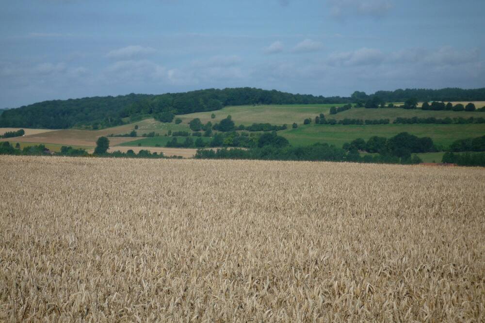 Photo of Outdoor in Cavron-Saint-Martin