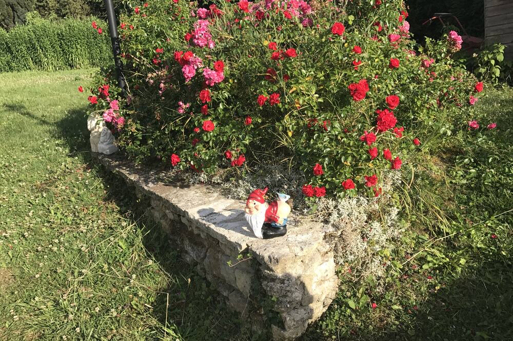 Photo of Outdoor in Saint-Clair-sur-Epte