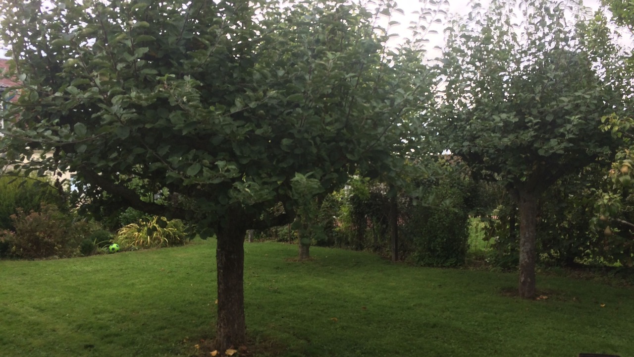 Photo of Outdoor in Ochancourt