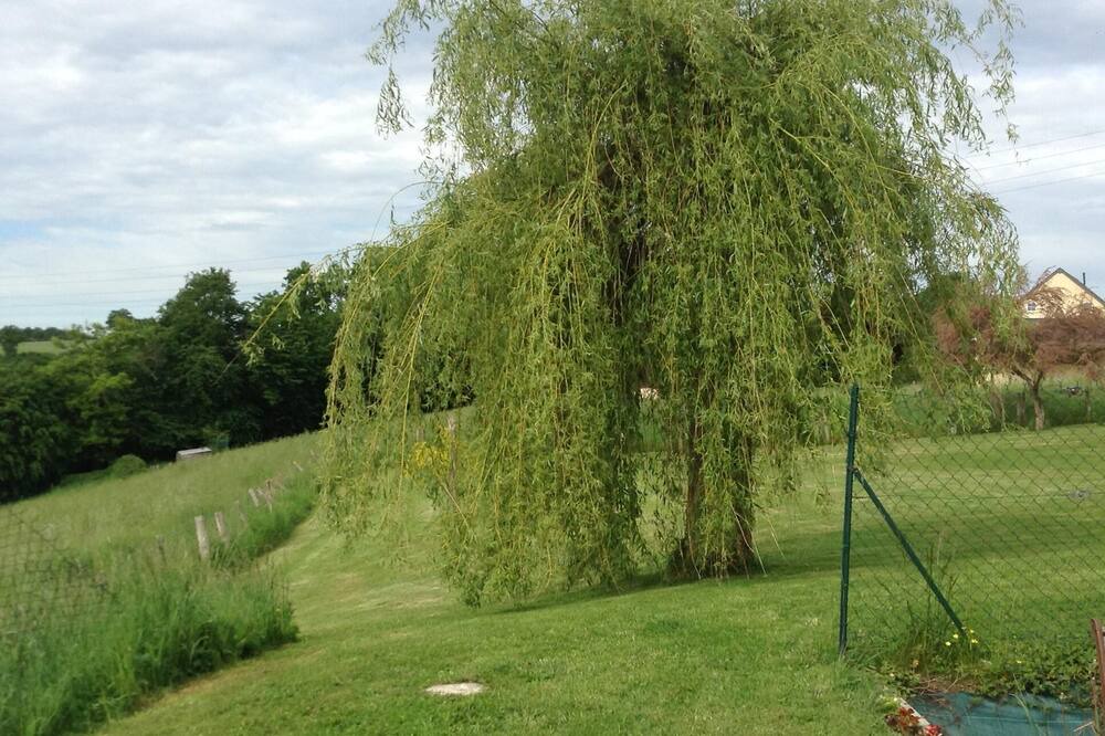 Photo of Outdoor in Valennes