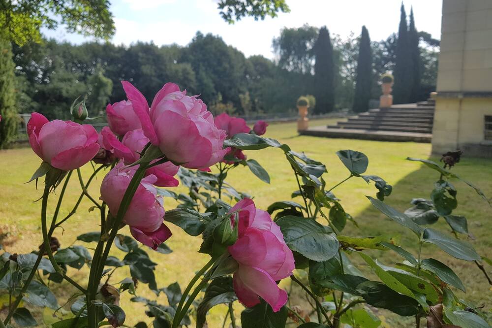 Photo of Outdoor in Aigremont