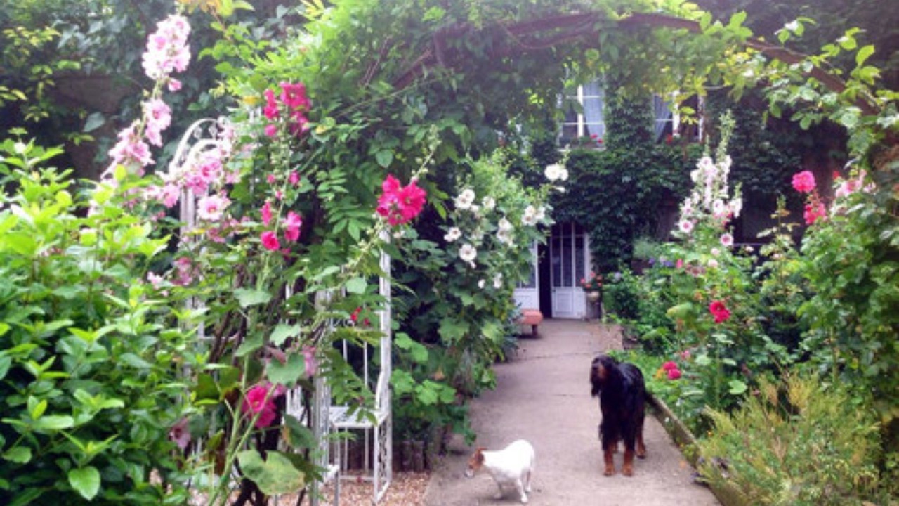 Photo of Outdoor in Les Andelys