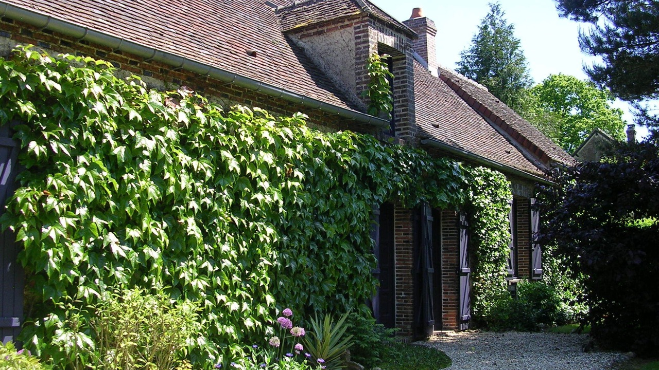 Photo of Outdoor in Manou