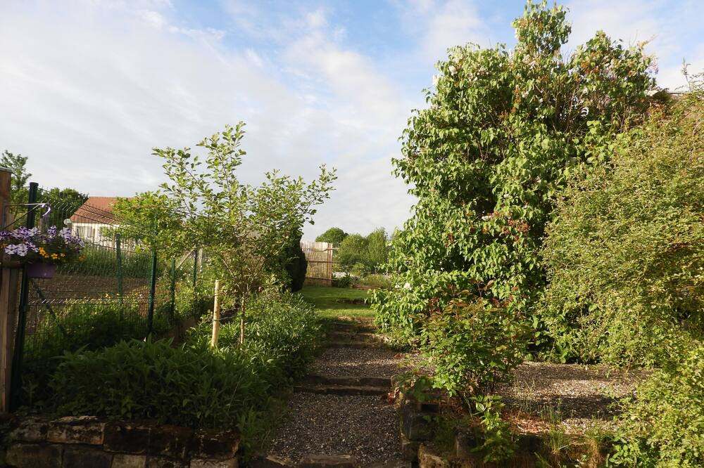 Photo of Outdoor in Montreuil-sur-Breche