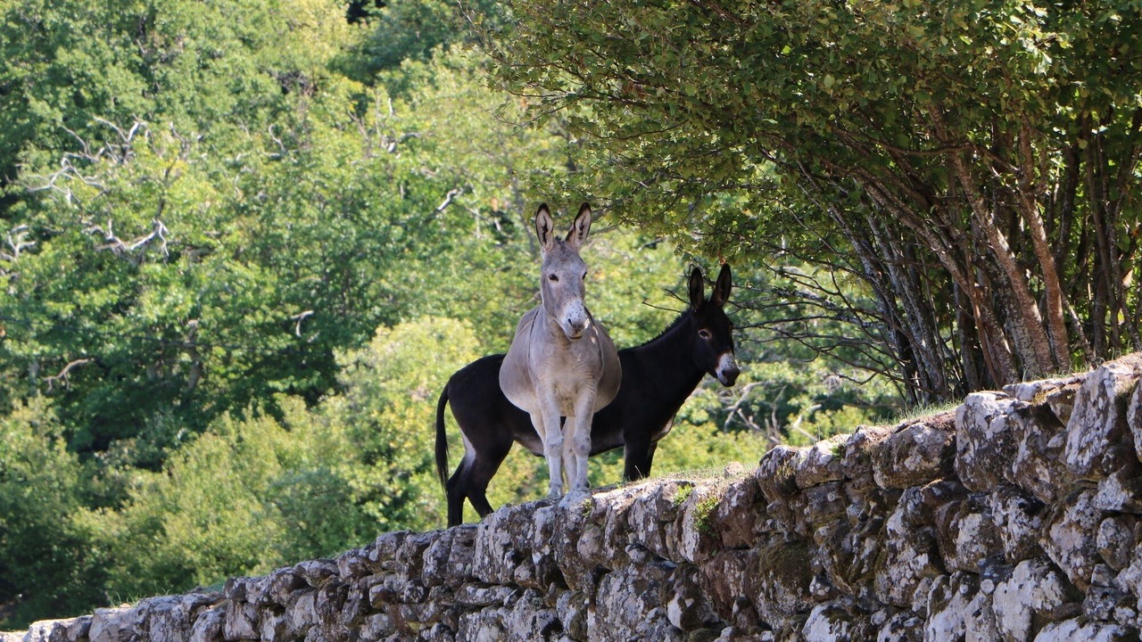 Photo of Outdoor in Privas