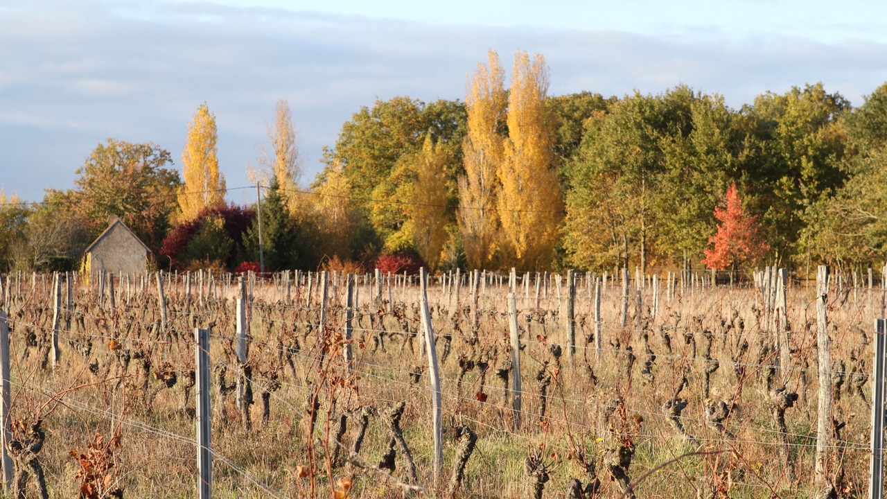 Photo of Outdoor in Chitenay