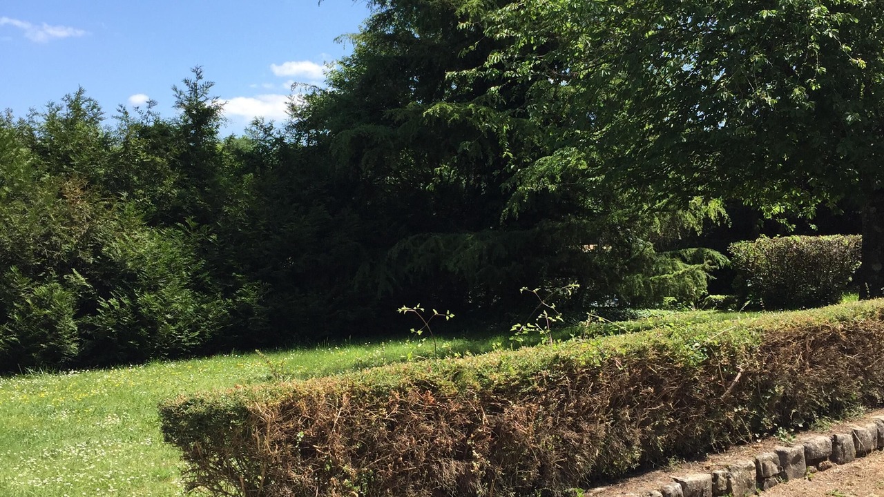 Photo of Outdoor in Boissise-le-Roi