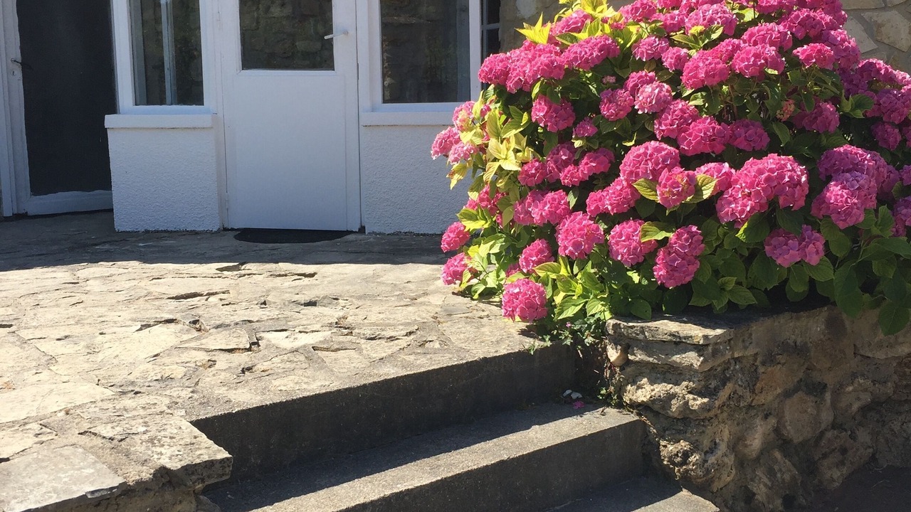 Photo of Outdoor in Boissise-le-Roi