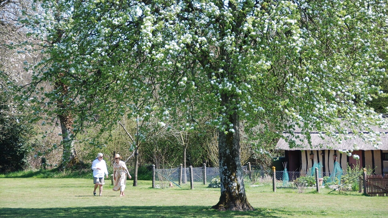 Photo of Others in Moyaux