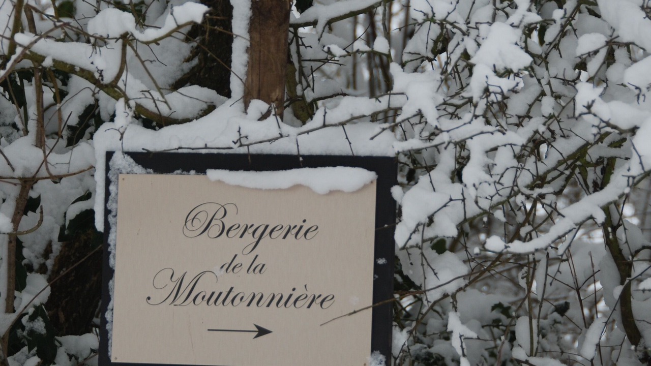 Photo of Outdoor in Moyaux