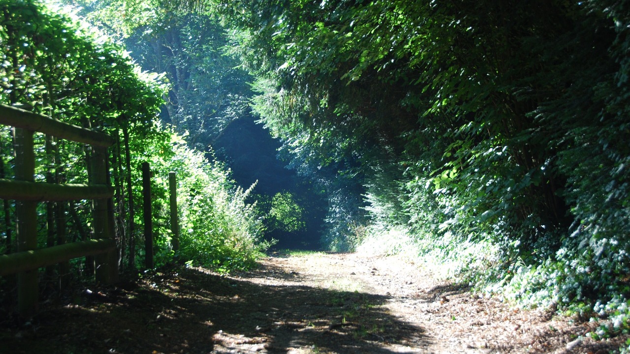 Photo of Outdoor in Moyaux