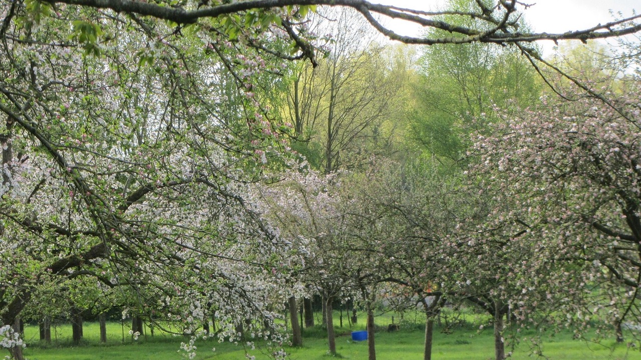 Photo of Outdoor in Sainte-Beuve-en-Riviere