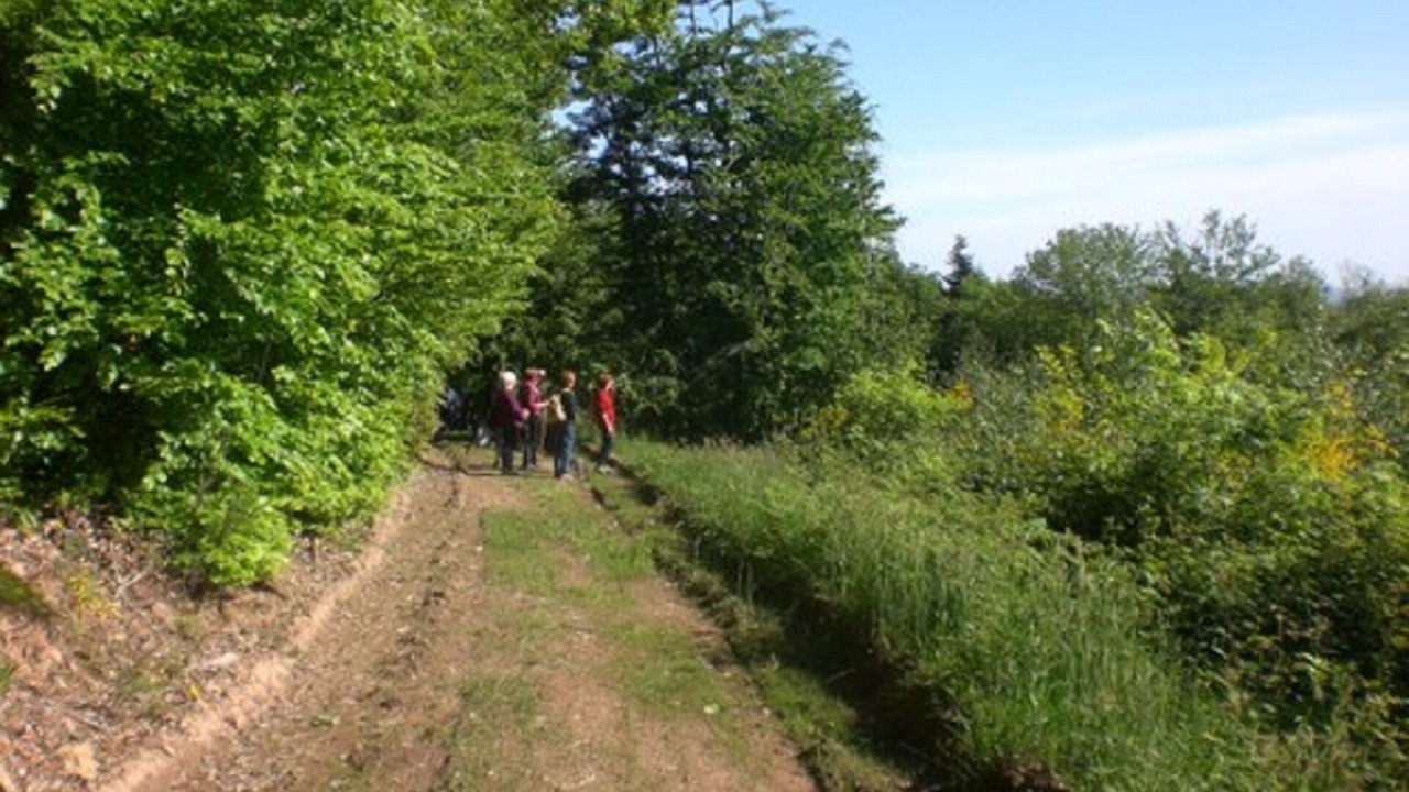 Photo of Outdoor in Magny