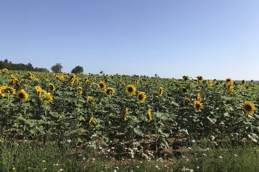Photo of Outdoor in Grimault