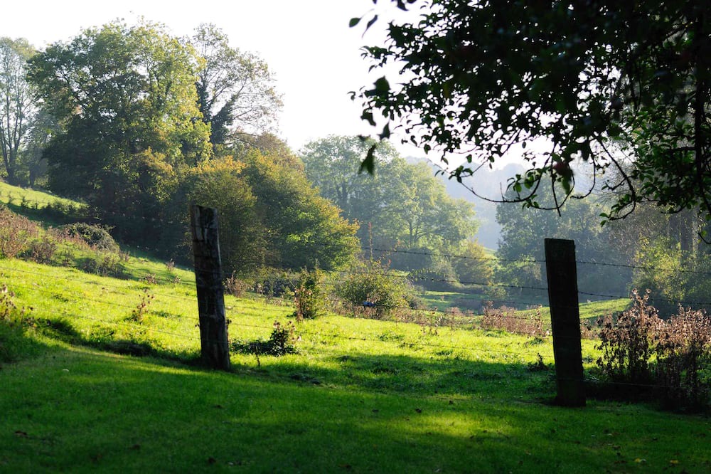 Photo of Outdoor in Les Champeaux