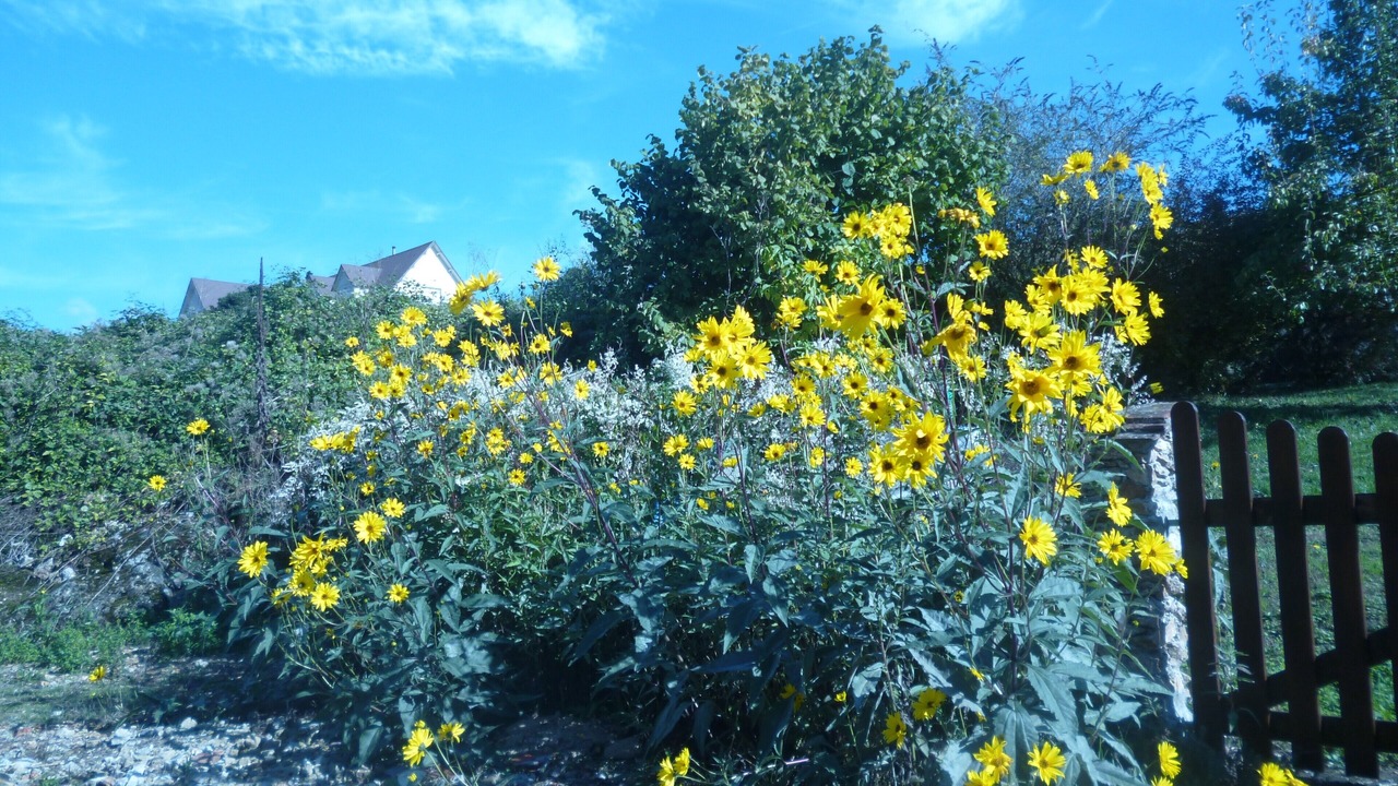 Photo of Outdoor in Chateau-Thierry
