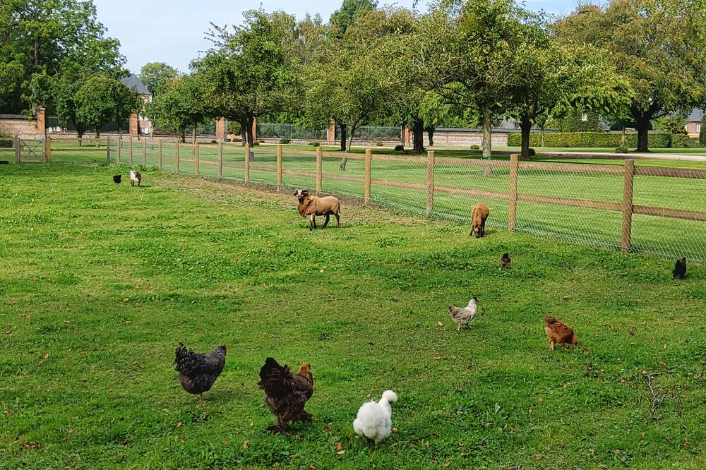 Photo of Outdoor in Cottevrard