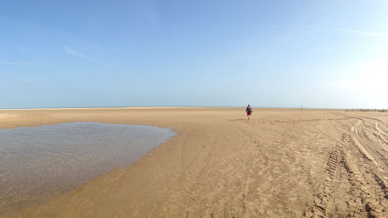 Photo of Others in Oye-Plage