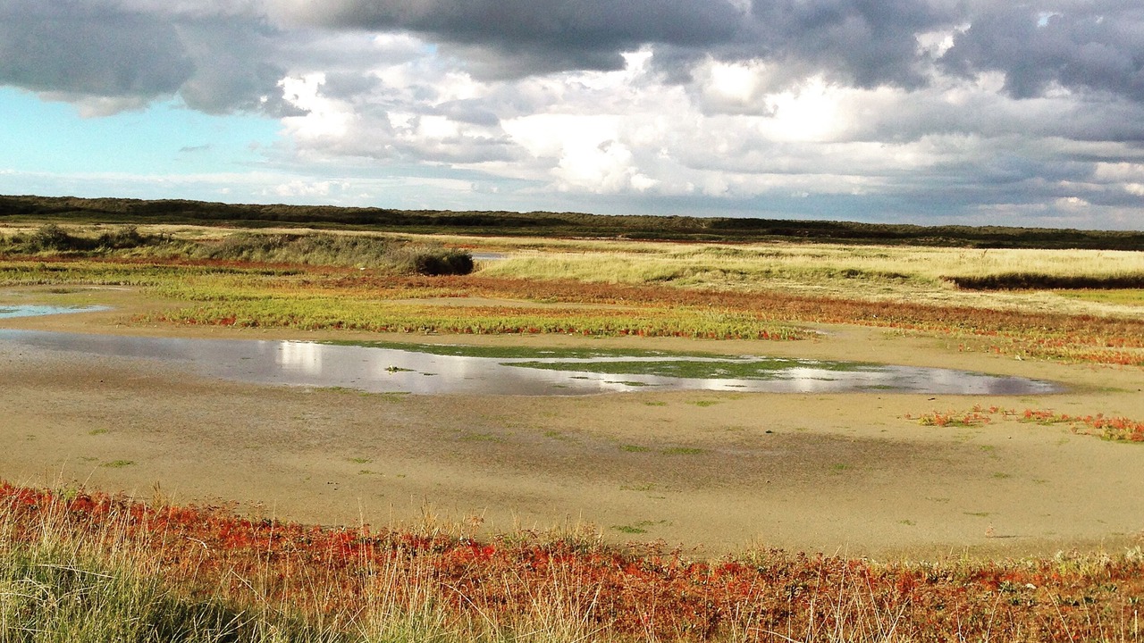 Photo of Others in Oye-Plage