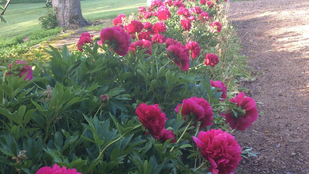 Photo of Outdoor in Imphy