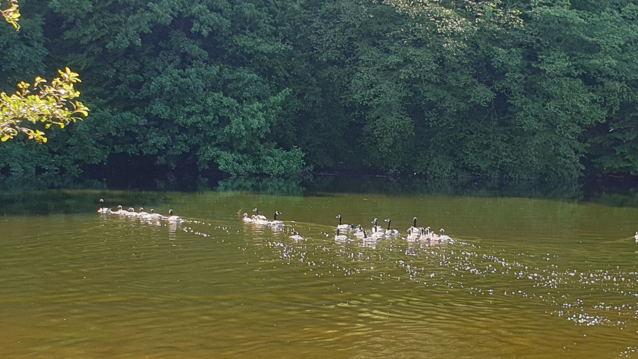 Photo of Others in Thilay