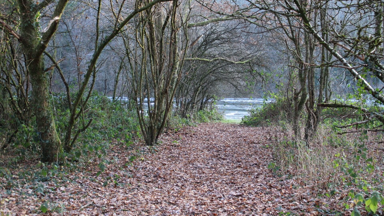 Photo of Outdoor in Thilay