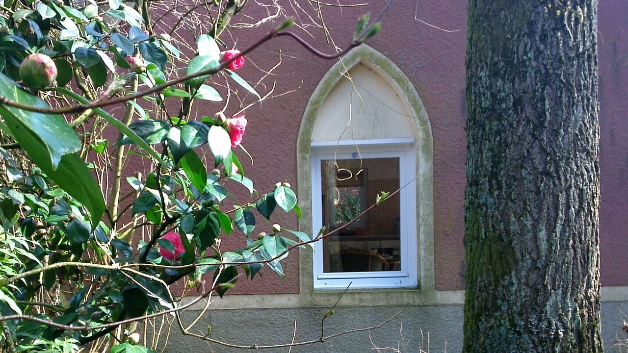Photo of Outdoor in La Cerlangue