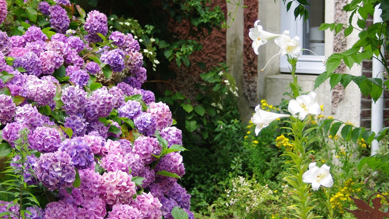 Photo of Outdoor in La Cerlangue