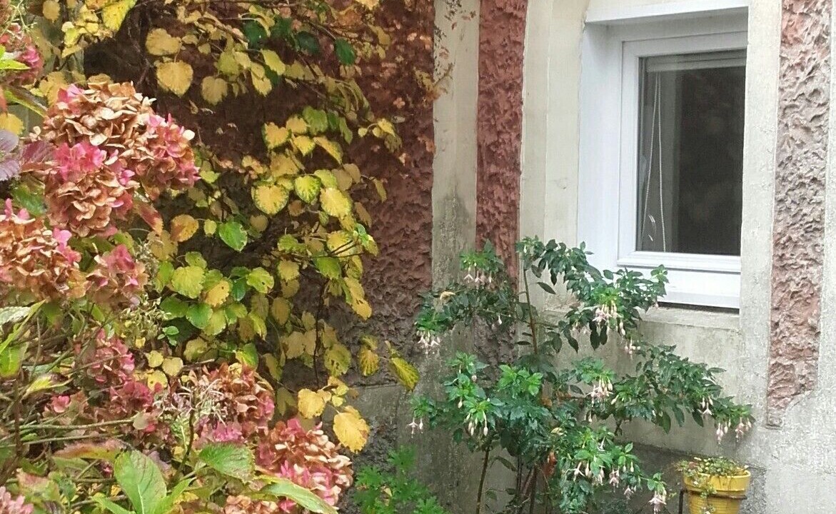 Photo of Outdoor in La Cerlangue