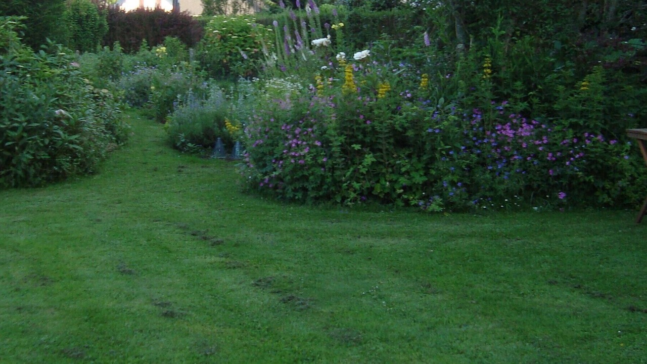 Photo of Outdoor in La Cerlangue