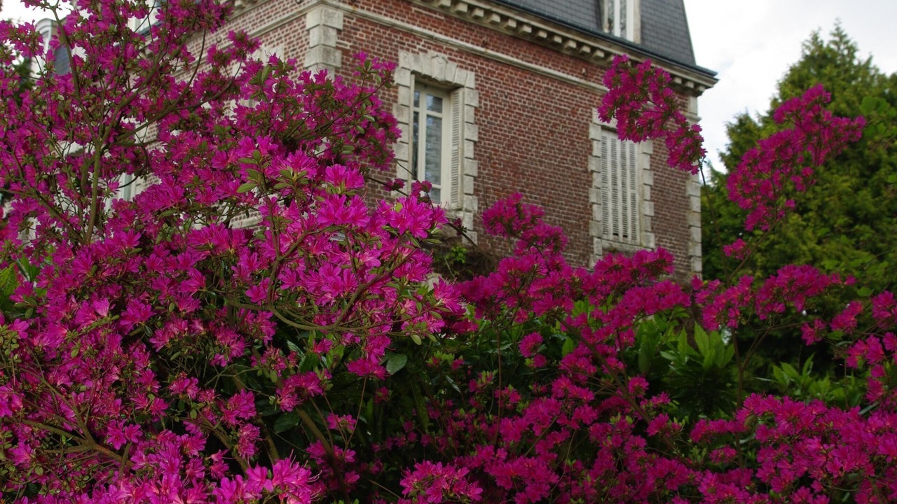 Photo of Outdoor in La Cerlangue