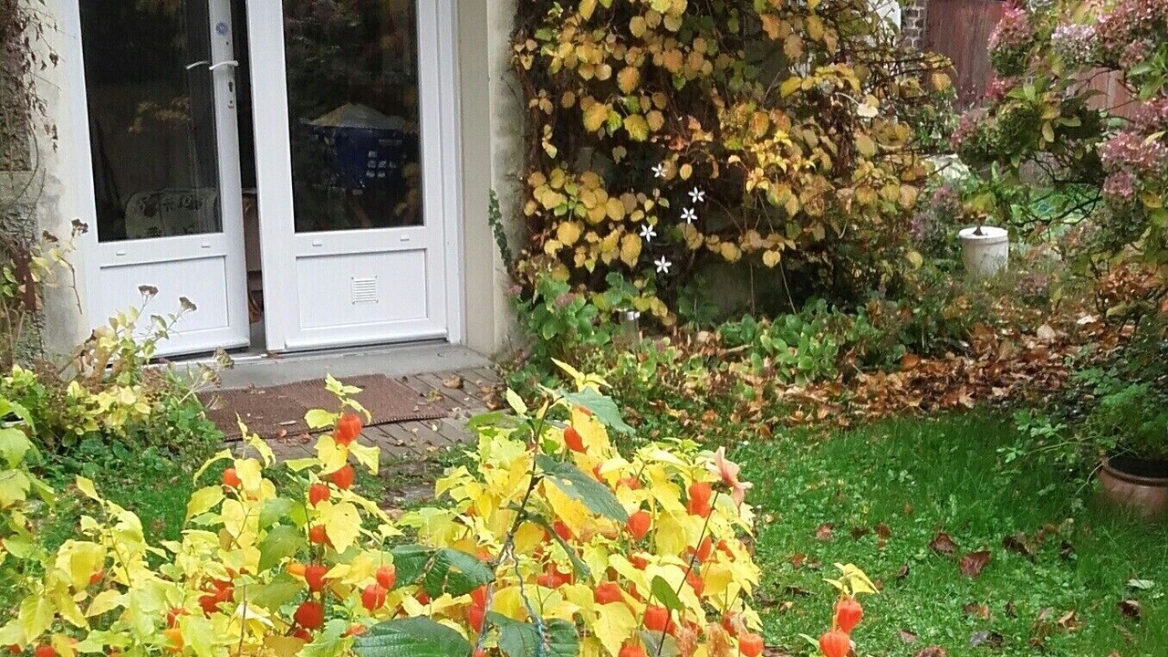 Photo of Outdoor in La Cerlangue