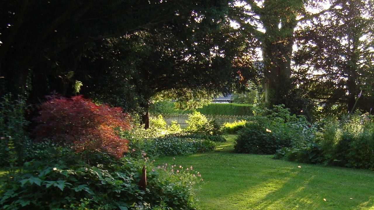 Photo of Outdoor in La Cerlangue