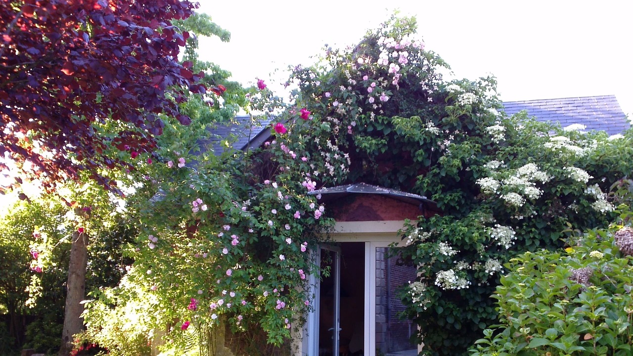 Photo of Outdoor in La Cerlangue