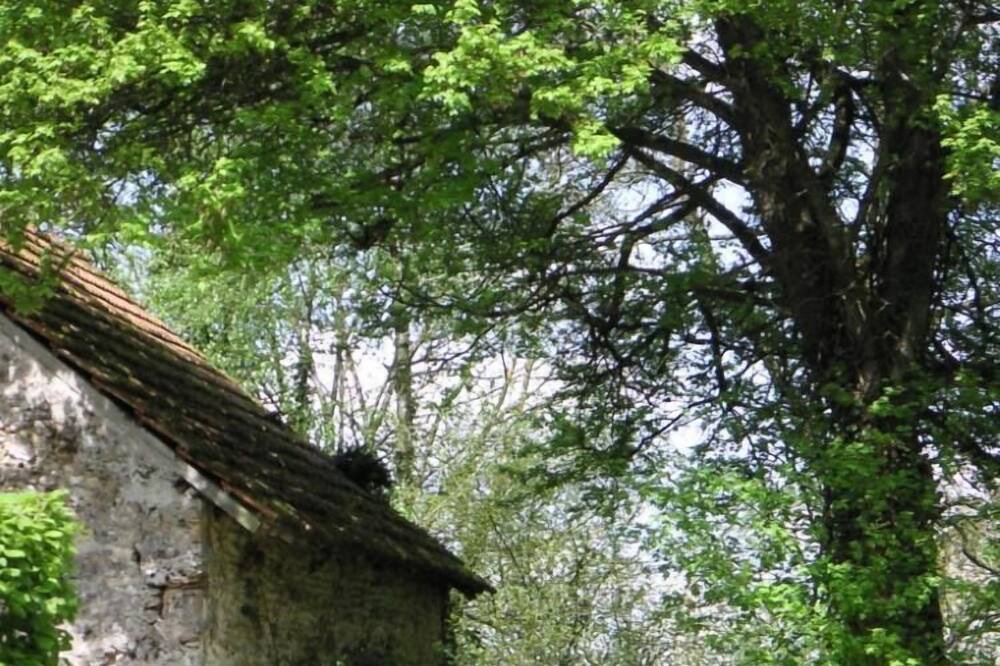 Photo of Outdoor in Orbais-l'Abbaye