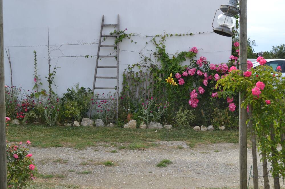 Photo of Outdoor in Saint-Georges-d'Oleron