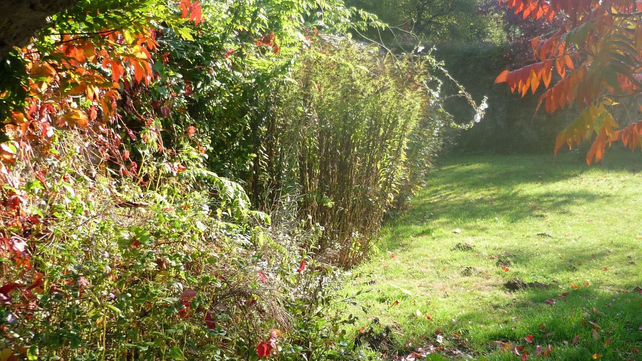 Photo of Outdoor in Dampierre-en-Yvelines