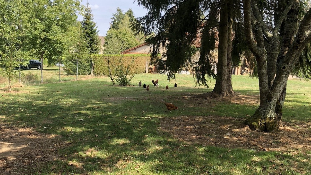 Photo of Outdoor in Vezelay