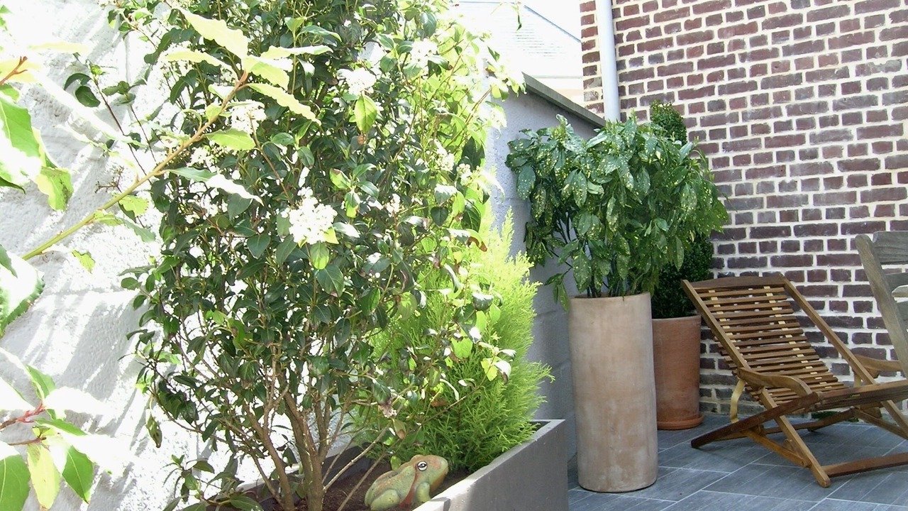 Photo of Outdoor in Saint-Valery-sur-Somme
