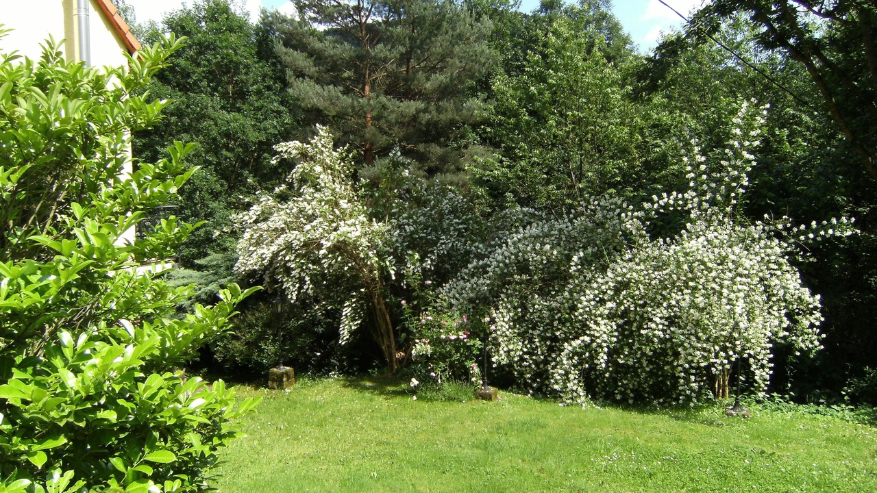 Photo of Outdoor in Windstein